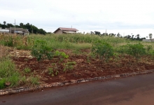 LOTE EM NOVA SANTA ROSA