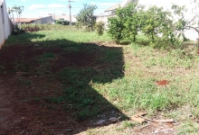 Terreno