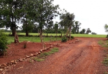 ÁREA DE TERRA 5,8 ALQUEIRES