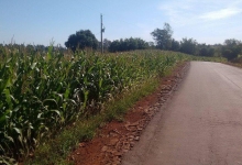 Área de terra bem localizada em Nova Santa Rosa