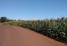 ÁREA DE TERRA BEM LOCALIZADA EM NSR