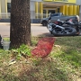 Uma pessoa ficou em estado grave na colisão envolvendo moto, ciclista e pedestre (Foto: Luiza Schio/AquiAgora.net ) 