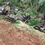 Grave acidente foi registrado no km 678 da BR-277 (Foto: Guia São Miguel ) 