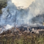 Fato aconteceu em uma propriedade na comunidade de Beira Rio (Foto: Maicon Stefan/Ponto da Notícia ) 