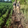 Os ossos encontrados aparentam ser de um homem (Foto: Cristine Kempp/AquiAgora.net ) 